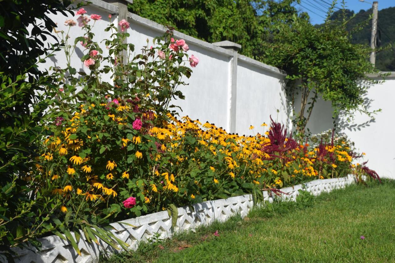Casa Sonya Διαμέρισμα Aninoasa Εξωτερικό φωτογραφία