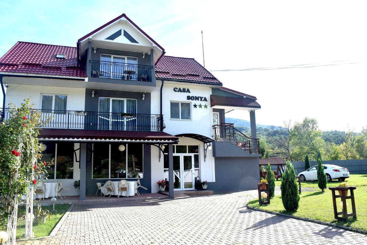 Casa Sonya Διαμέρισμα Aninoasa Εξωτερικό φωτογραφία