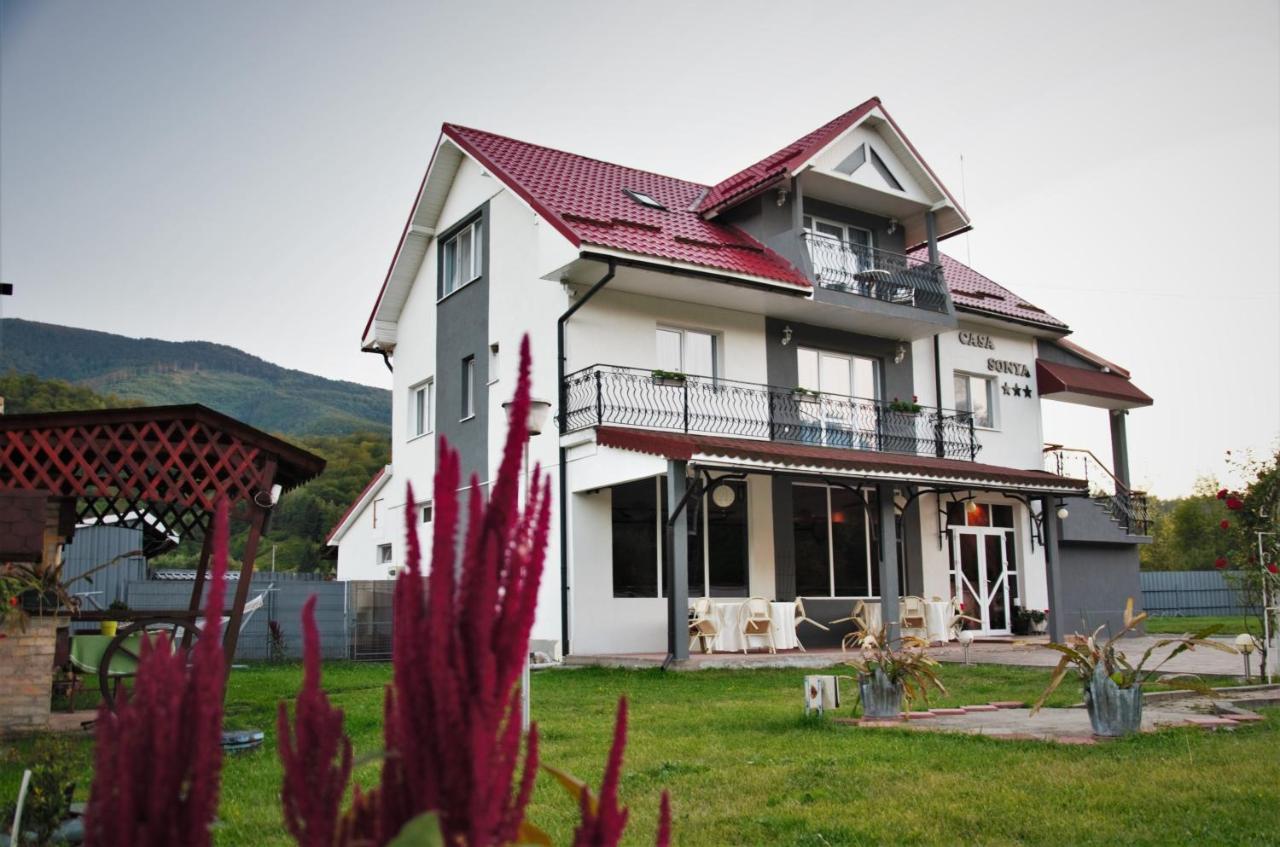 Casa Sonya Διαμέρισμα Aninoasa Εξωτερικό φωτογραφία