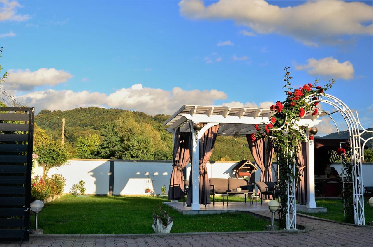 Casa Sonya Διαμέρισμα Aninoasa Εξωτερικό φωτογραφία