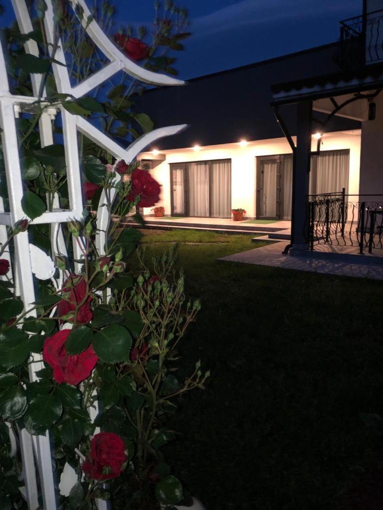 Casa Sonya Διαμέρισμα Aninoasa Εξωτερικό φωτογραφία